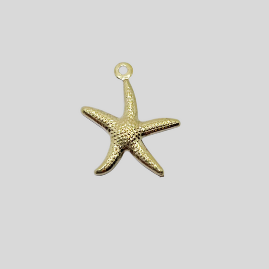 Sea Star Charm