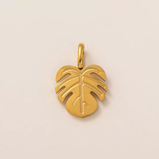 Monstera Charm-petite